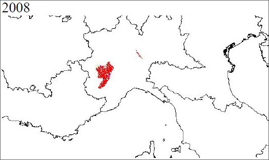 Scoiattolo grigio, Sciurus carolinensis : N. di Milano